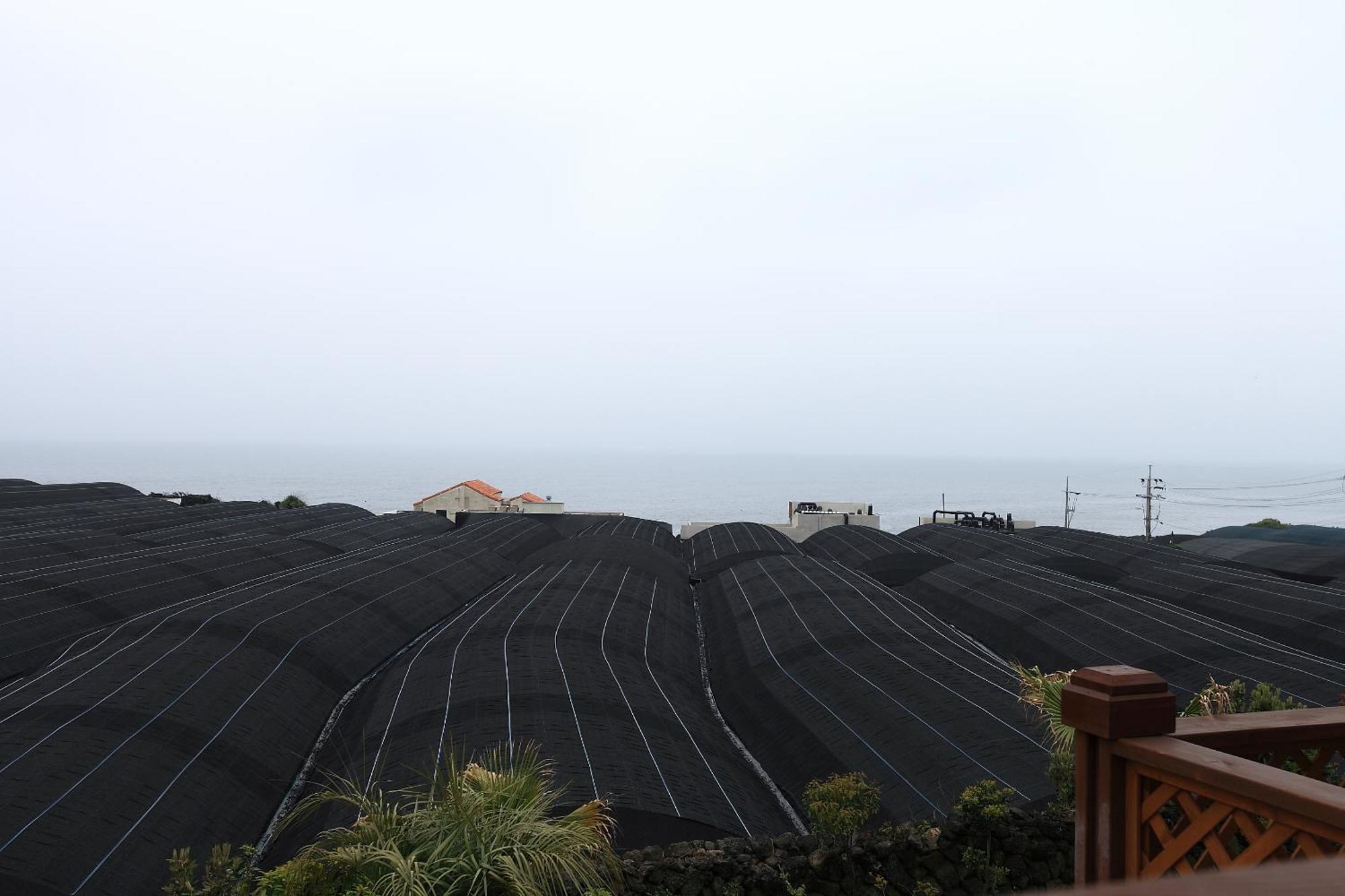 Haevichi Pension Seogwipo Esterno foto